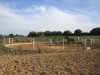 Besuch_Steff_Pferde 134